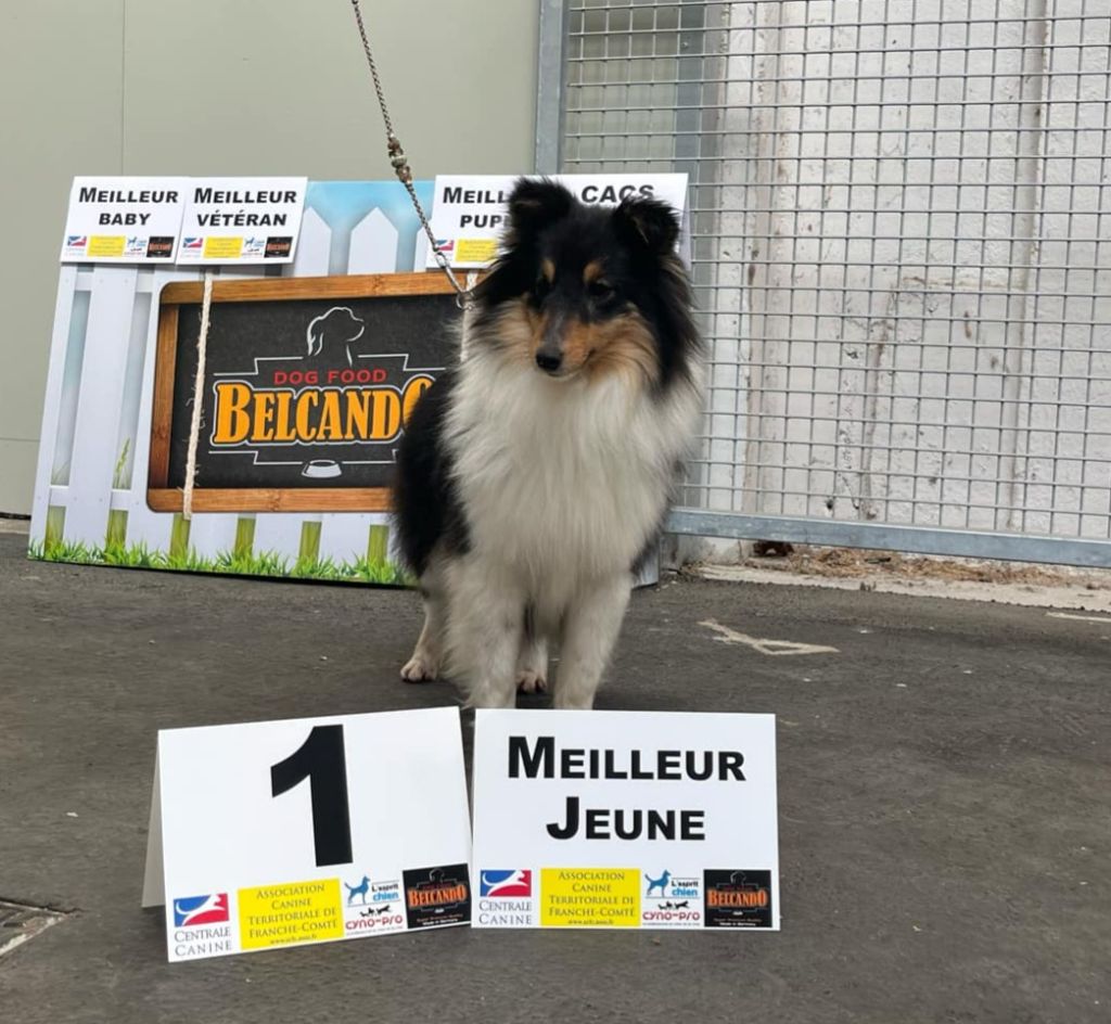 Up oups rox Du vent des moissons