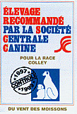 1er Elevage Recommandé SCC en colley !!